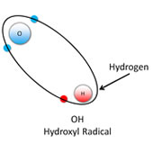 Hydroxyl Radical