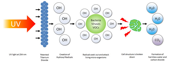 Photocatalytic Reaction